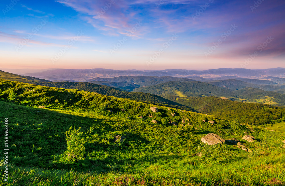 Obraz premium meadow with boulders in Carpathian mountains in summer