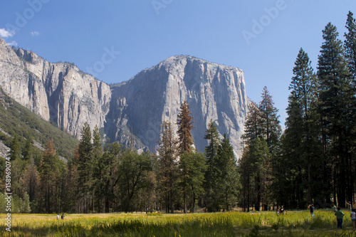 Yosemite National Park  California  USA.