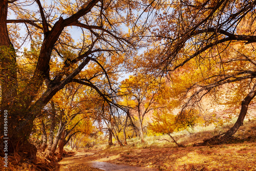 Autumn creek Autumn creek