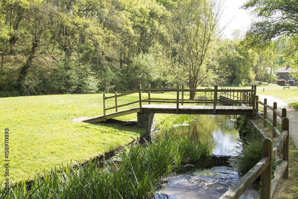 Bridge over the river