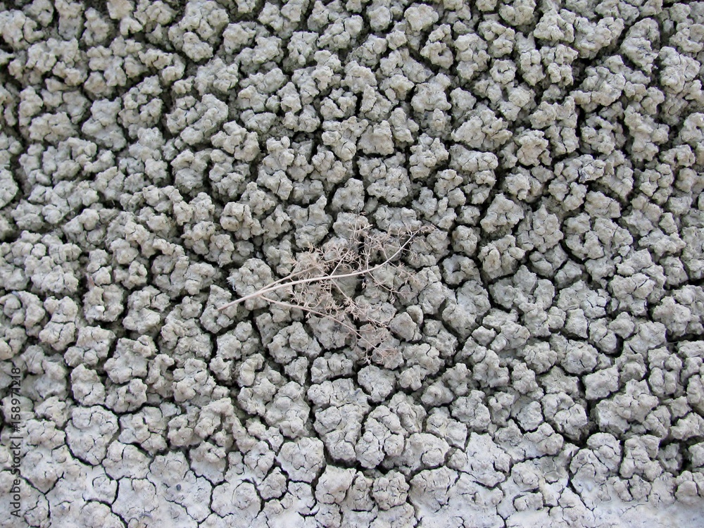 Dried plant branch on a clay background. Painted Hills, Oregon, USA Dried plant branch on a clay background. Painted Hills, Oregon, USA