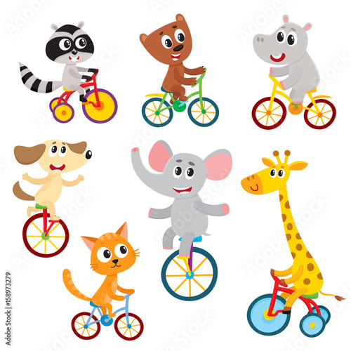 Cute little animal characters riding unicycle, bicycle, tricycle, cycling, cartoon vector illustration isolated on a white background. Little baby animal characters riding bikes, bicycle