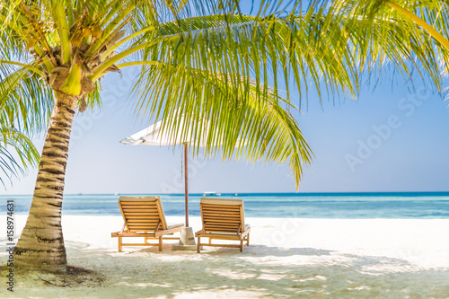 Vacation holidays background wallpaper  two beach lounge chairs under tent on beach. Beach chairs  umbrella and palms on the beach. Tropical Holiday Banner