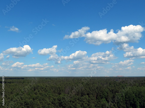 фотографія White clouds in blue skies over the green horizon of the forest