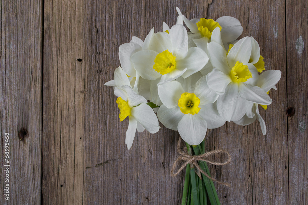 Background with white narcissus on rustic wooden background Background with white narcissus on rustic wooden background