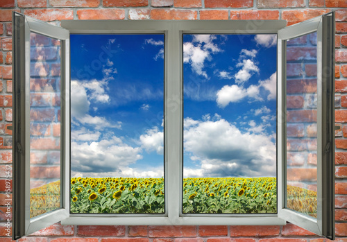 open window on sunflowers background