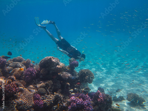 Free Diver in the Reef