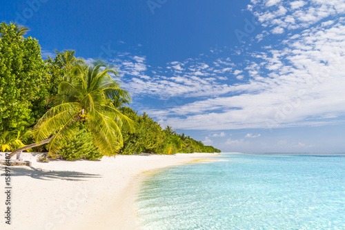 Summer holiday and vacation design. Inspirational tropical beach  palm trees and white sand. Tranquil scenery  relaxing beach  tropical landscape design. Moody landscape