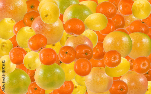 Image of oranges, tangerines and grapefruits close-up
