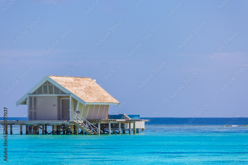 Summer holiday and vacation design. Inspirational tropical beach, palm trees and white sand. Tranquil scenery, relaxing beach, tropical landscape design. Moody landscape