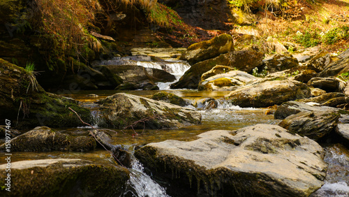 A forest stream during autumn
