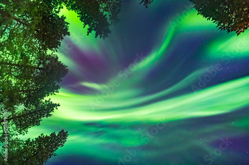 Beautiful Northern lights over head