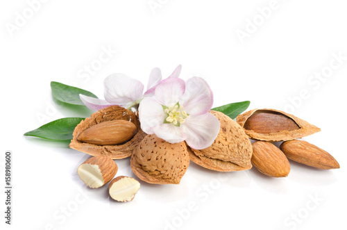 Paradise flower with almond nuts isolated on white background