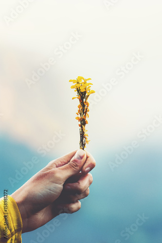 Hand holding yellow flowers Mountains Landscape on background Summer Travel