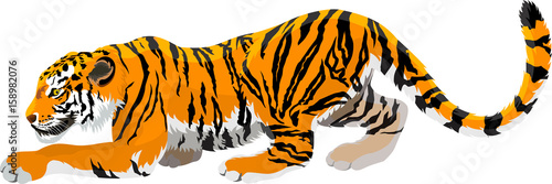 vector angry tiger mascot illustration