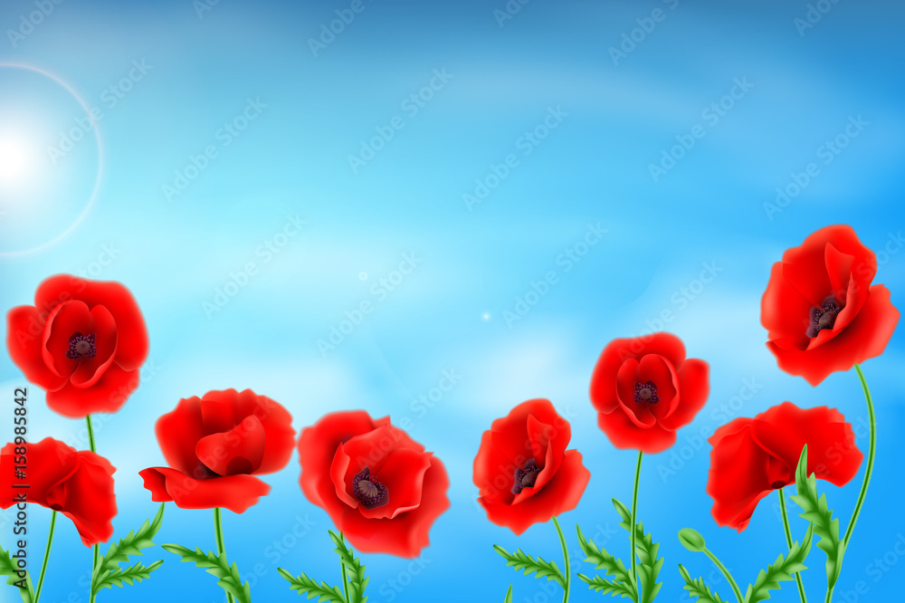 Fototapeta premium Greeting card Poppies flowers.