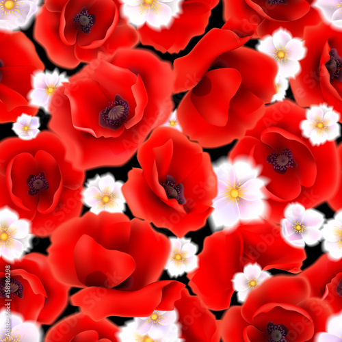Seamless pattern with red poppy flowers