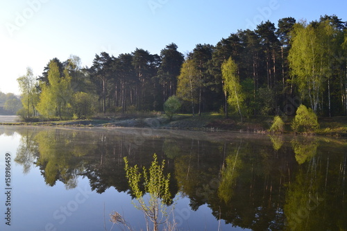 Forest is reflected in the calm blue water of the forest lake.