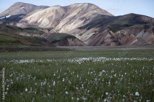 Laugavegur photo