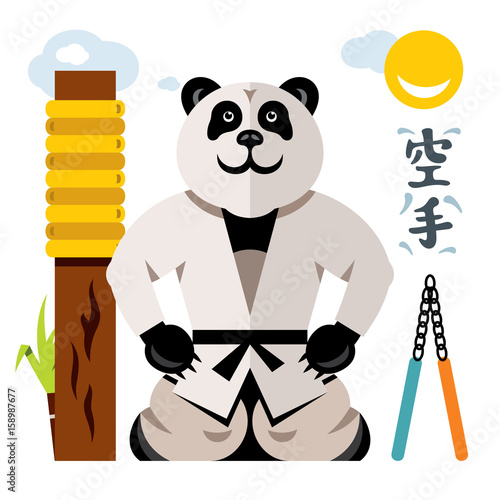 Vector Karate Panda. Flat style colorful Cartoon illustration.