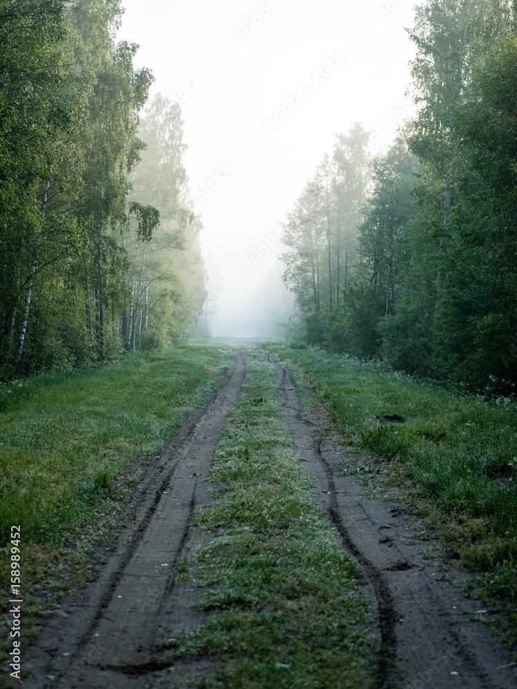 Obraz premium empty road in the countryside in summer