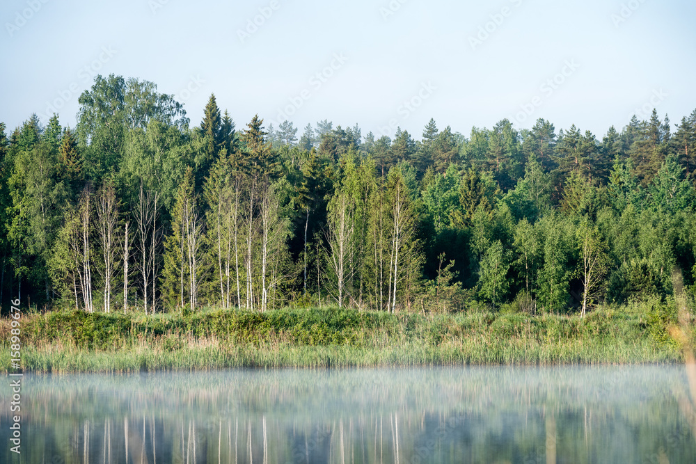 Obraz premium reflections in the lake water in the morning mist