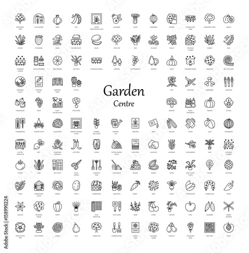 Garden centre elements. Vector line icon collection. Indoor and outdoor plants. Agriculture items.