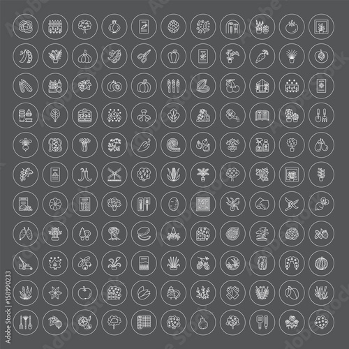 Garden centre elements. Vector line icon collection. Indoor and outdoor plants. Agriculture items.