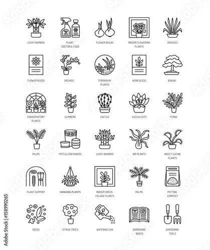 Vector collection of house plants, gardening tools and accessories. Different kinds of flowering and green foliage plants. Line icon set.