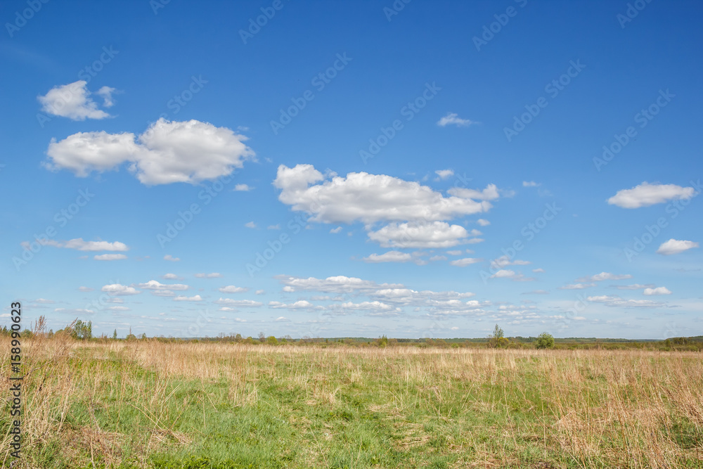 Obraz premium Nature in the middle strip of Russia