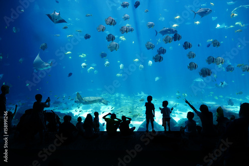 Children looking at Fish in huge Aquarium, Activity, Background, Fish Tank, Adventure © dj_mono