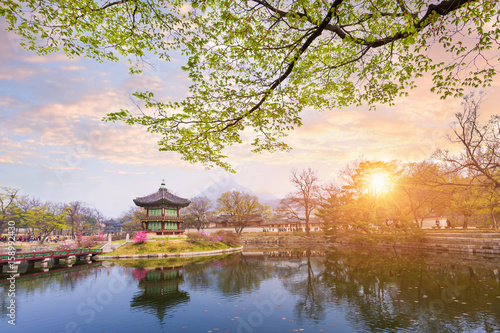 Photography Gyeongbokgung palace in spring, South Korea.