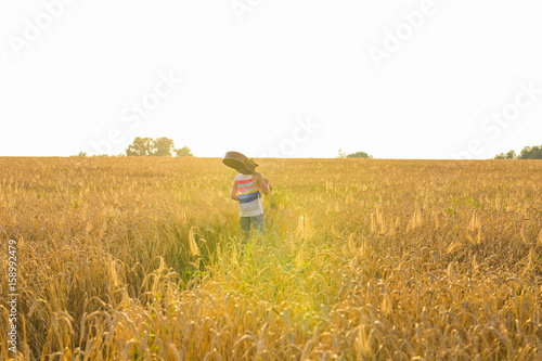 Musician holding acoustic guitar and walking in summer fields at sunset © satura_