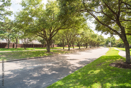 Side view of asphalt road, street in suburban residential area with lot of green trees in Katy, Texas, US. America is an excellent green and clean country. Environmental and transportation background.