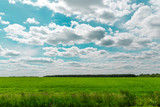 White clouds on blue sky over the green field.