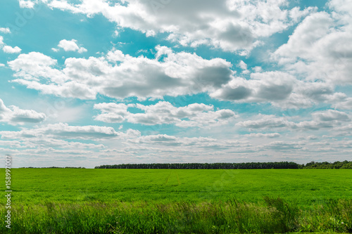 White clouds on blue sky over the green field.