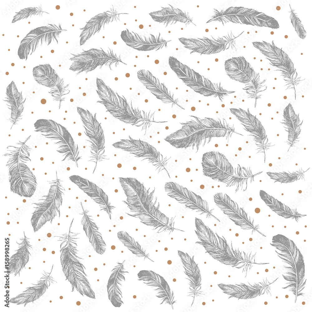 Feather Pattern Feather Pattern