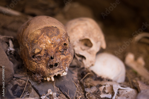 Skin Covered Mummy Skull in Tigray Ethiopia