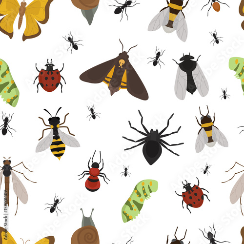 Fly insects wildlife entomology bug animal nature beetle biology buzz icon vector illustration pattern seamless background © creativeteam