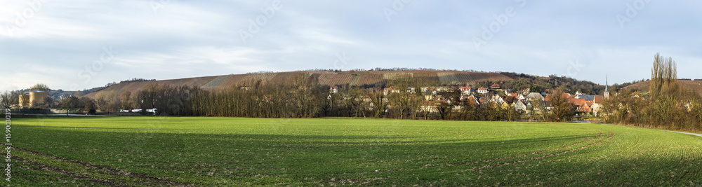 view to village Frickenhausen at river Main view to village Frickenhausen at river Main
