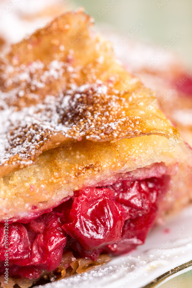 Closeup of homemade cherry cake with powdered sugar on the plate Closeup of homemade cherry cake with powdered sugar on the plate