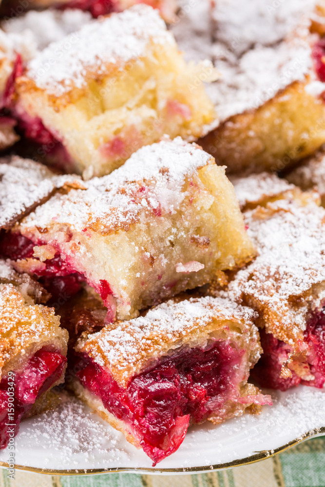 Closeup of homemade cherry cake with powdered sugar on the plate