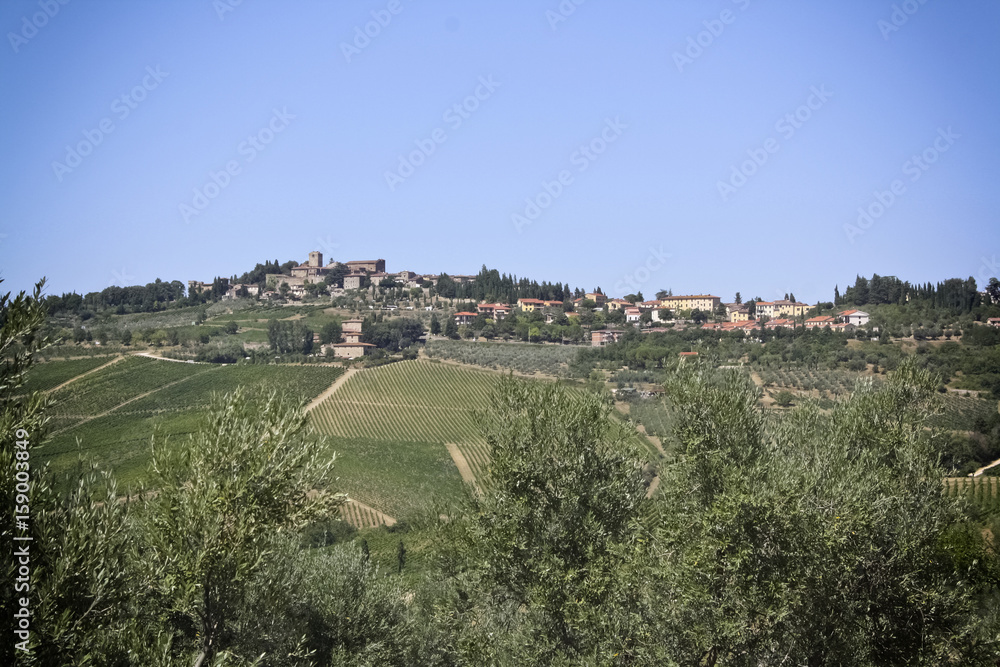 Toskana – Landschaft mit Feldern und Olivenhainen und Weinbergen