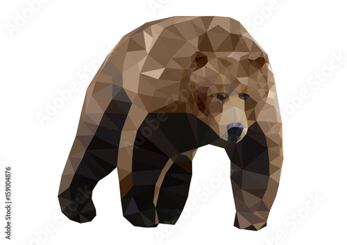 Brown bear goes on four legs