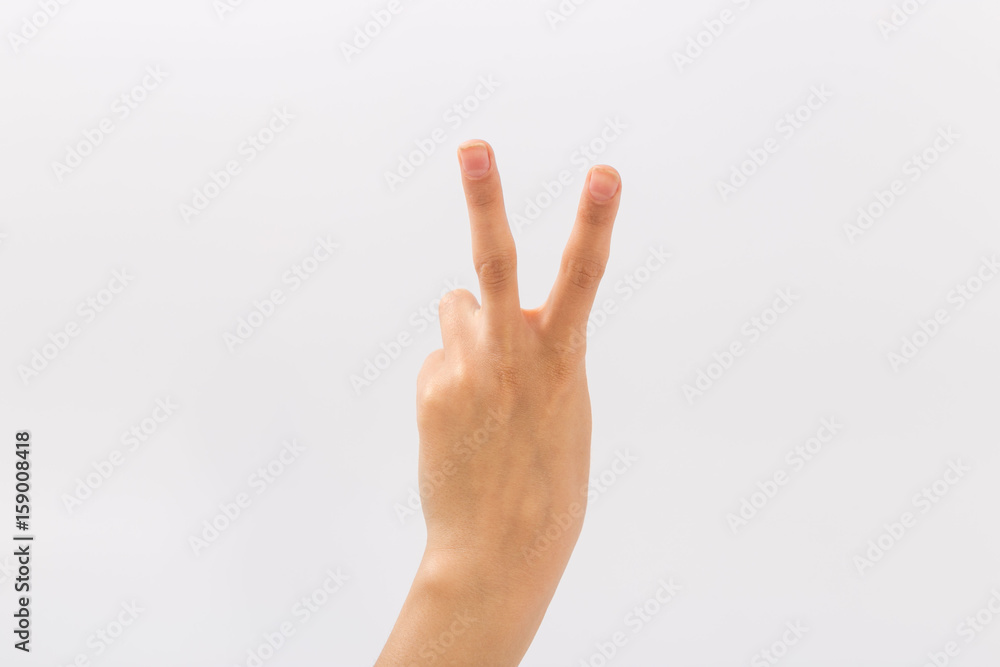 Female hands on a white background. Gestures Female hands on a white background. Gestures