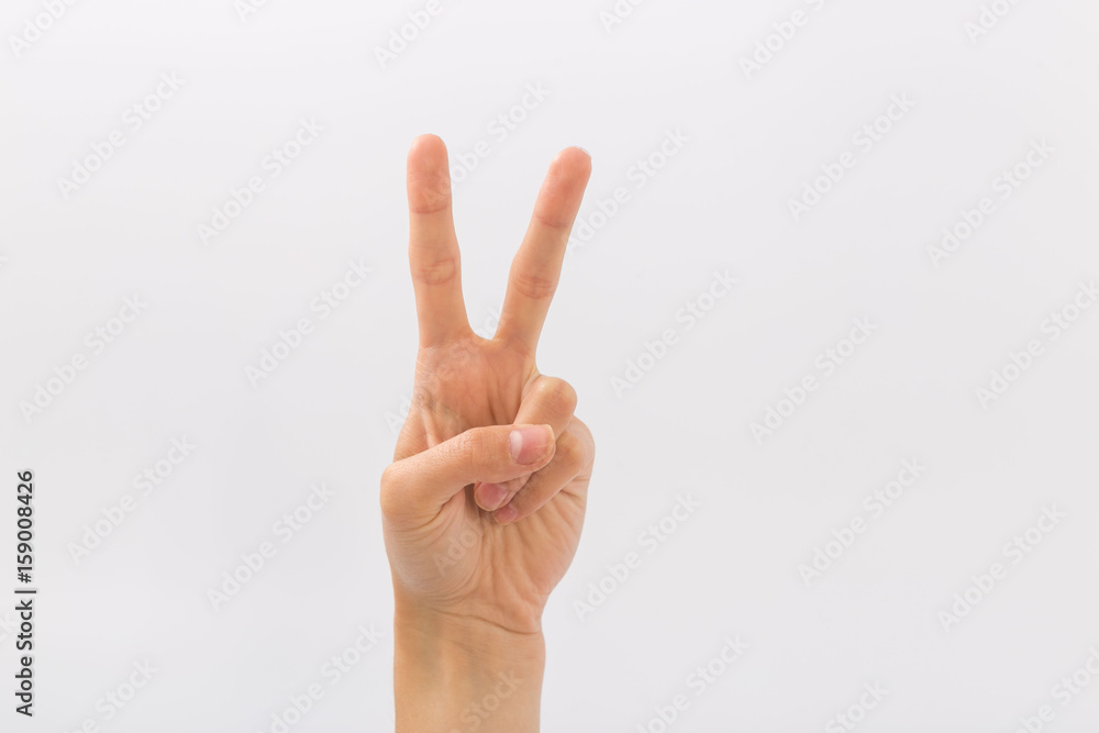 Female hands on a white background. Gestures Female hands on a white background. Gestures