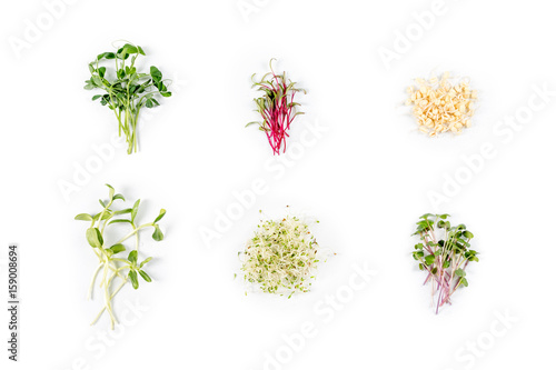 Tapeta Different types of micro greens on white background