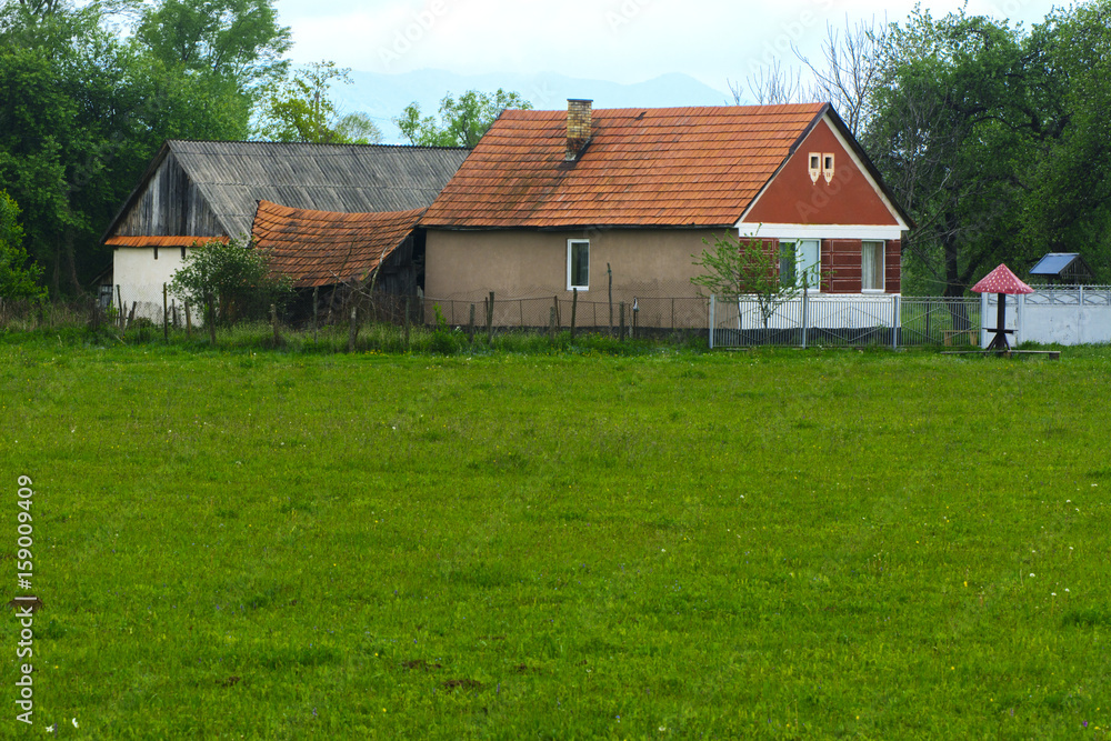 White daffodil on the landscape design of the flower garden. House on the field in spring White daffodil on the landscape design of the flower garden. House on the field in spring
