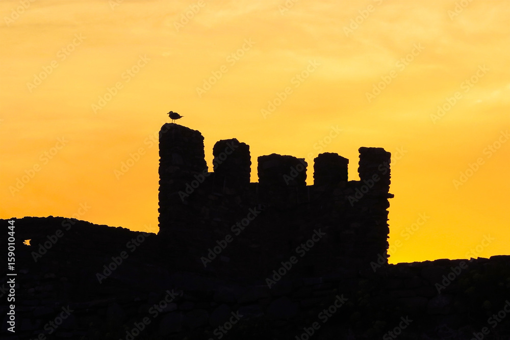 silhouette of bird atop castle wall at sunset sunrise