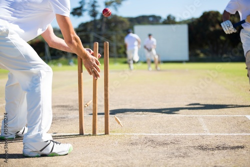 Quadro em tela Wicket keeper hitting stumps during match